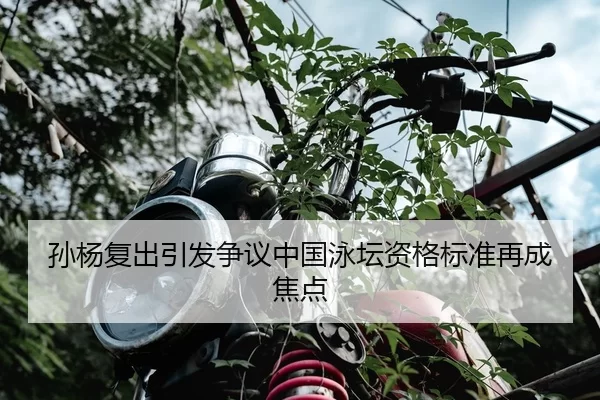 孙杨复出引发争议中国泳坛资格标准再成焦点